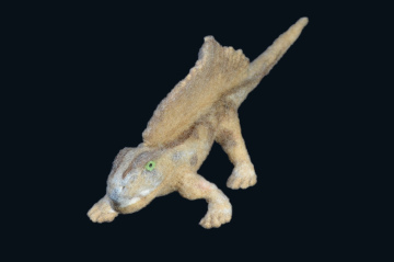 ディメトロドン 素材 #04