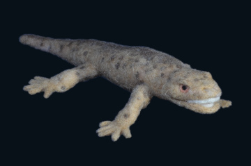 セイモウリア 素材 #01