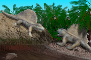 ディメトロドン